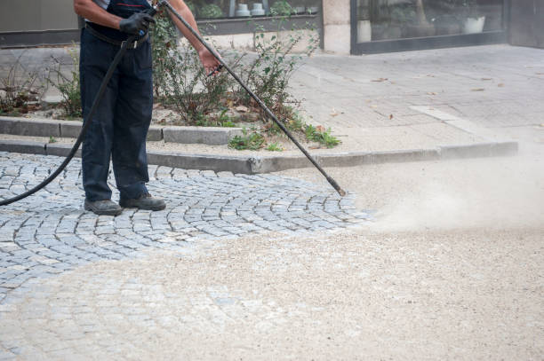 Best Animal Enclosure Cleaning  in Waynesboro, PA